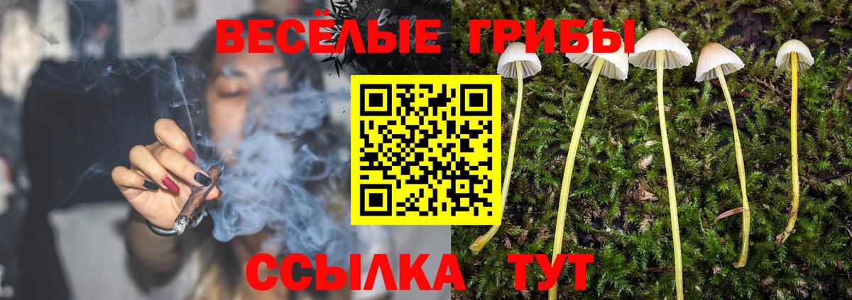 Галлюциногенные грибы мухоморы Большой Камень