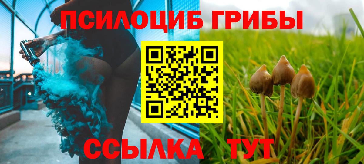 Большой Камень  даркнет сайт  Вход с VPN  Псилоцибиновые грибы мухоморы 